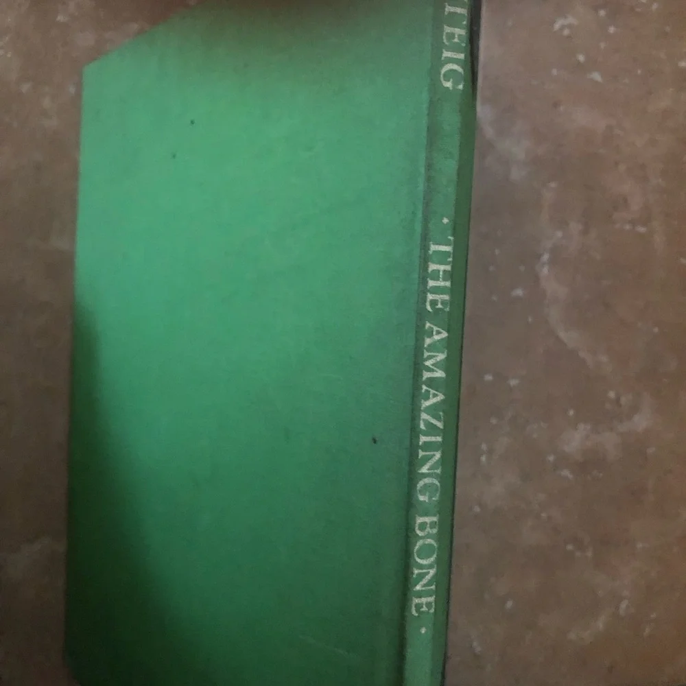 “The Amazing Bone” vintage book by William Steig